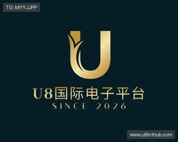 认识U8国际电子平台